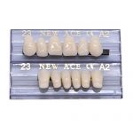 168 Pcs Dental Synthetic Resin Tooth Denture 6 Sets False Teeth for Halloween Horror Teeth 23 A2 11