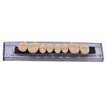 WECANDO 168 Pcs Dental Synthetic Resin Tooth Denture 6 Sets False Teeth for Halloween Horror Teeth 23 A2 12