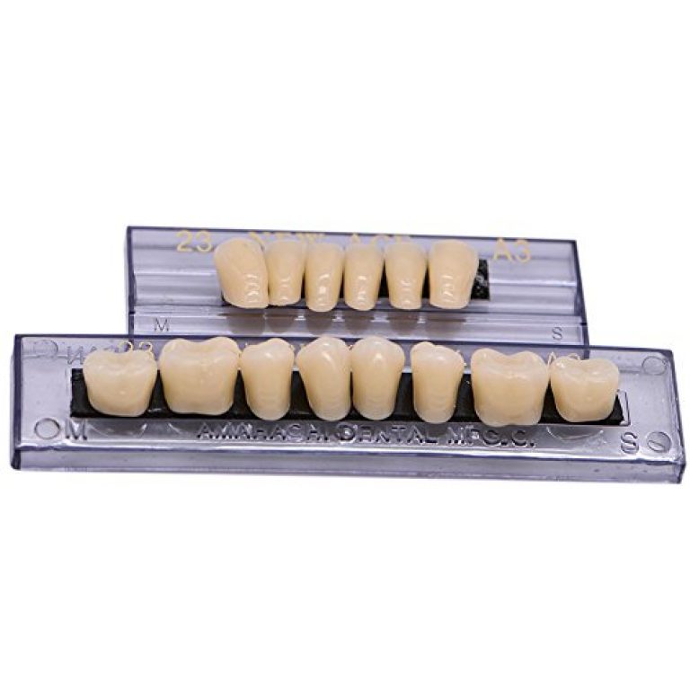 168 Pcs Dental Synthetic Resin Tooth Denture 6 Sets False Teeth for Halloween Horror Teeth 23 A2 6