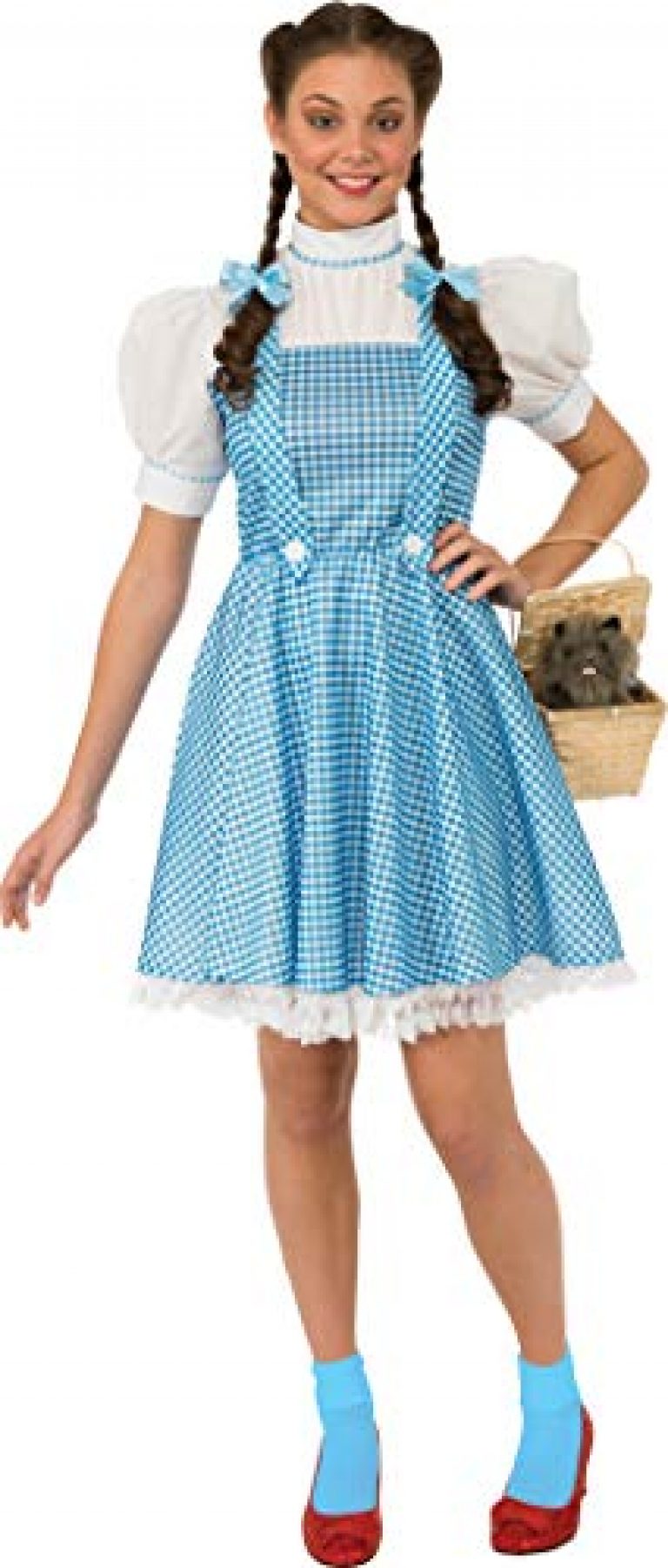 Rubie's womens Wizard of Oz Dorothy Dress and Hair Bows Adult Sized Costumes, Blue/White, Standard US 1