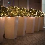 PREXTEX Warm White Christmas Lights (20 Feet, 100 Lights) - White Christmas Tree Lights Indoor White Wire - Clear Christmas Light - String Lights Indoor - Xmas Lights - Warm White Twinkle Lights 13
