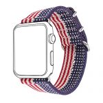 Bandmax Nylon Band Compatible with Apple Watch Rainbow Band 38MM 40MM LGBT Parade Strap Replacement Wristband Accessory New Adapter Compatible for Iwatch Series SE 7/6/5/4/3/2/1 15