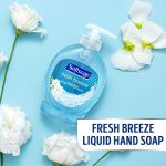 Softsoap Liquid Hand Soap, Fresh Breeze - 7.5 Fl Oz (Pack of 6) 12