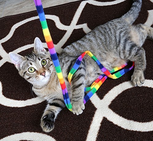Cat Dancer Products Rainbow Cat Charmer 2