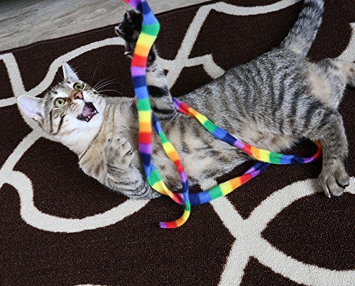Cat Dancer Products Rainbow Cat Charmer 3