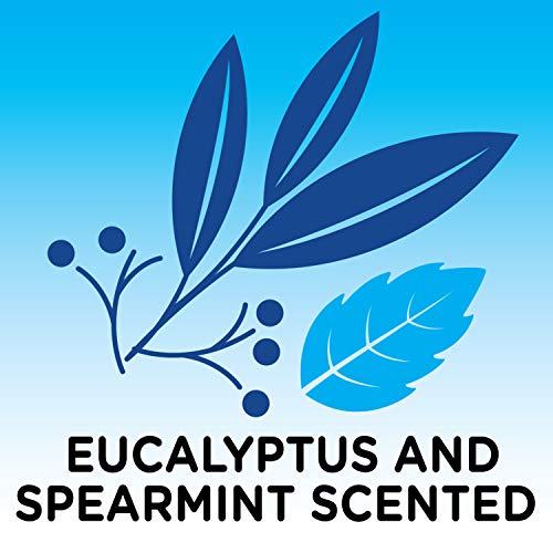 Amazon Basics Epsom Salt Soaking Aid, Eucalyptus Scented, 3 Pound (Previously Solimo) 4