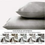 Bedsure Satin Pillowcase for Hair and Skin Queen - Silver Grey Silk Pillowcase 2 Pack 20x30 inches - Satin Pillow Cases Set of 2 with Envelope Closure, Gifts for Women Men 12