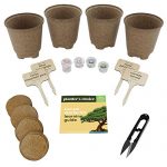 Bonsai Starter Kit - Gardening Gift for Women & Men - Bonsai Tree Growing Garden Crafts Hobby Kits for Adults, Unique DIY Hobbies for Plant Lovers - Unusual Christmas Gifts Ideas, or Gardener Mother 8