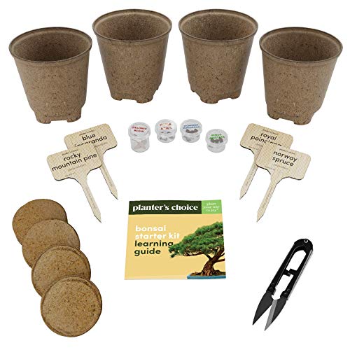 Bonsai Starter Kit - Gardening Gift for Women & Men - Bonsai Tree Growing Garden Crafts Hobby Kits for Adults, Unique DIY Hobbies for Plant Lovers - Unusual Christmas Gifts Ideas, or Gardener Mother 2