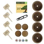 Bonsai Starter Kit - Gardening Gift for Women & Men - Bonsai Tree Growing Garden Crafts Hobby Kits for Adults, Unique DIY Hobbies for Plant Lovers - Unusual Christmas Gifts Ideas, or Gardener Mother 9