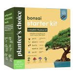 Bonsai Starter Kit - Gardening Gift for Women & Men - Bonsai Tree Growing Garden Crafts Hobby Kits for Adults, Unique DIY Hobbies for Plant Lovers - Unusual Christmas Gifts Ideas, or Gardener Mother 7