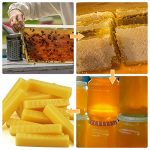 24 Pack Yellow Beeswax Bars, Candle Making Wax, 1oz Bees Wax Bars Cosmetic Grade 10