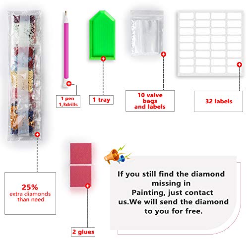 DIY Diamond Painting Art,Jewel Woman,Rhinestone Full Round Diamond Drill Kit,Gem Art Craft Home Game for Adult Kid,Wall Painting Kit 15.8x11.8 inch 4