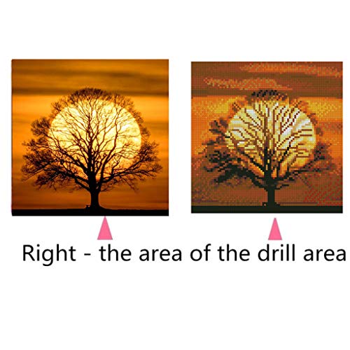 Elstey Diamond Painting Kits for Adults, DIY 5D Full Drill Diamond Canvas Embroidery Paintings by Number Kits, Perfect Art Gift for New House Home Wall Decor(Sunset Tree 11.8x11.8 inch) 4