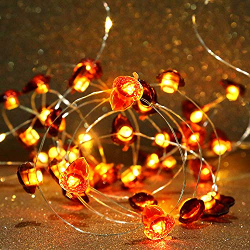 Thanksgiving Fall Acorn Light String 19.6 Feet 40 LED Battery Thanksgiving Indoor Outdoor Decorations with Remote Control Timer, Thanksgiving Decor Fairy Lights Christmas String Lights 3