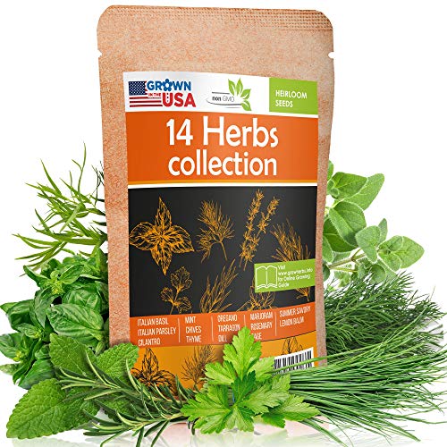14 Culinary Herb Seeds Pack - Heirloom and Non GMO, Grown in USA - Indoor or Outdoor Garden - Basil, Parsley, Dill, Cilantro, Rosemary, Mint, Thyme, Oregano, Tarragon, Chives, Sage & More 3