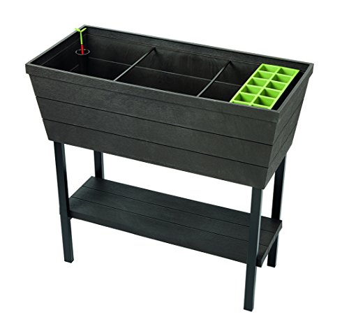 Keter Urban Bloomer 12.7 Gallon Raised Garden Bed with Self Watering Planter Box and Drainage Plug, Dark Grey 18