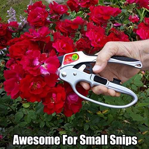 Ratchet Pruning Shears Gardening Tool – Anvil Pruner Garden Shears with Assisted Action – Ratchet Pruners for Gardening with Heavy Duty, Nonstick Steel Blade – Garden Tools by The Gardener's Friend 3