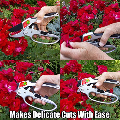 Ratchet Pruning Shears Gardening Tool – Anvil Pruner Garden Shears with Assisted Action – Ratchet Pruners for Gardening with Heavy Duty, Nonstick Steel Blade – Garden Tools by The Gardener's Friend 4