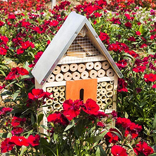 FUNPENY Wooden Insect House, Insect Hotel with Brush for Butterfly, Bees and Ladybugs 4