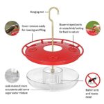 YTU Hummingbird Feeders for Outdoors, No Leak Humming Bird Feeder, Easy to Clean & Fill, 5 Feeder Ports, Perfect for Hanging on The Tree,Yard 8