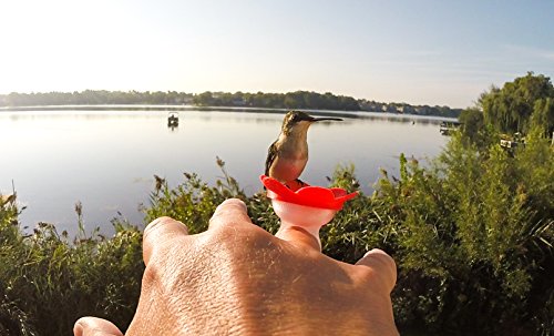 ZUMMR Hummingbird Ring Feeder (Red) - Hand Feed Hummingbirds Right in Your Backyard. Get up Close and Personal with Nature. Proudly Made in The U.S.A. - The Original 4