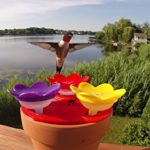 ZUMMR Hummingbird Ring Feeder (Red) - Hand Feed Hummingbirds Right in Your Backyard. Get up Close and Personal with Nature. Proudly Made in The U.S.A. - The Original 13