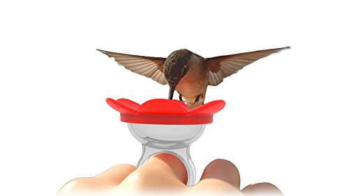 ZUMMR Hummingbird Ring Feeder (Red) - Hand Feed Hummingbirds Right in Your Backyard. Get up Close and Personal with Nature. Proudly Made in The U.S.A. - The Original 7