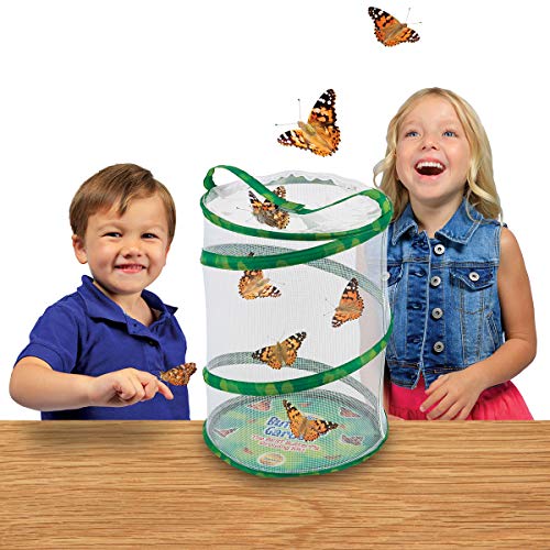 Insect Lore - Butterfly Growing Kit - Butterfly Habitat Kit with Voucher to Redeem 5 Caterpillars, STEM Journal, Butterfly Feeder & More – Life Science & STEM Education – Butterfly Science Kit 7